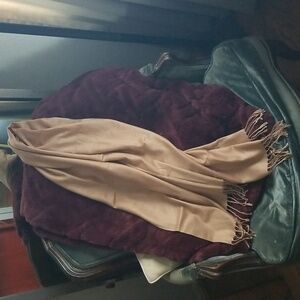 Pashmina Super Soft Fringed Scarf